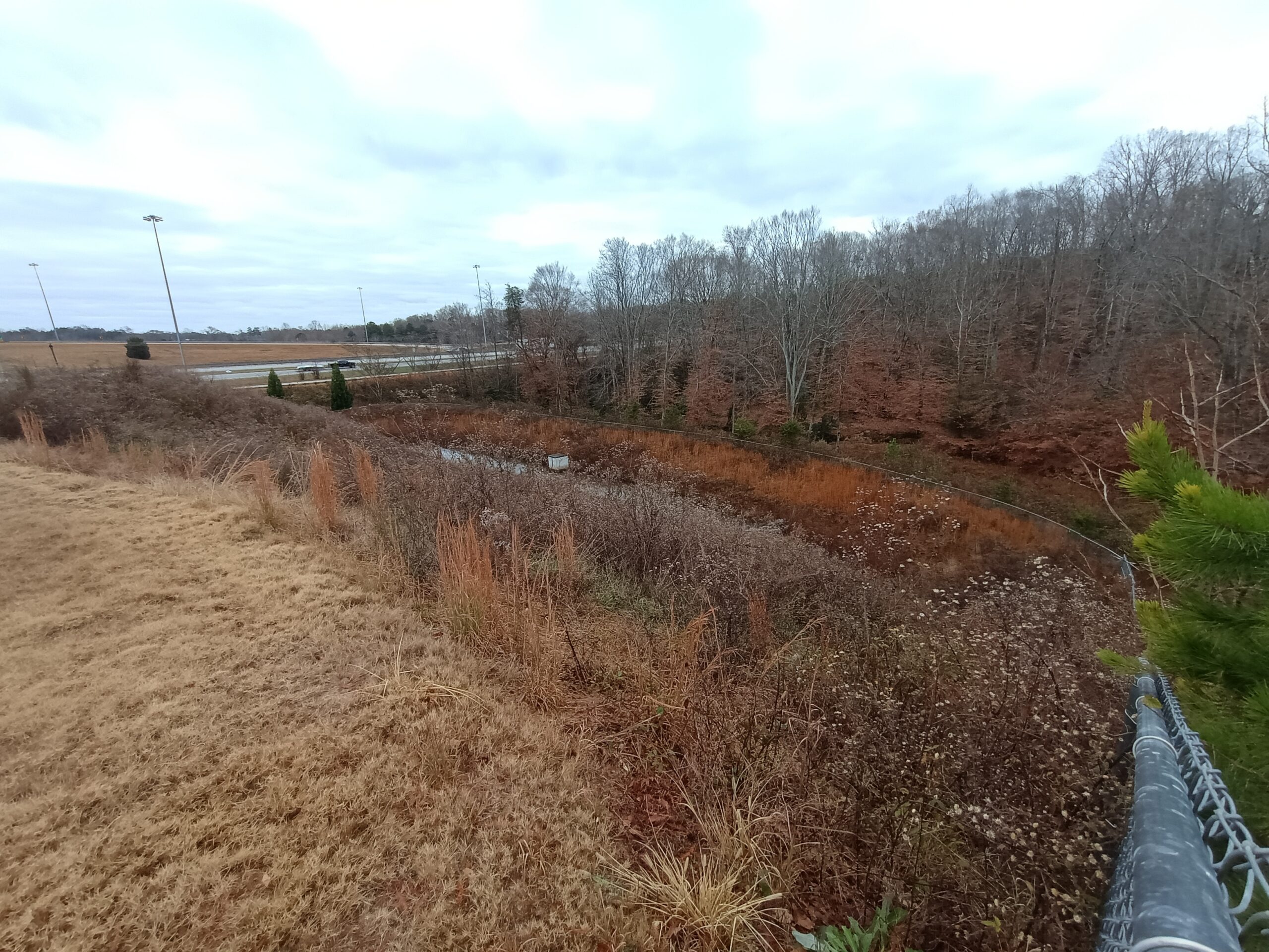 Greenville Retention Pond (Before)