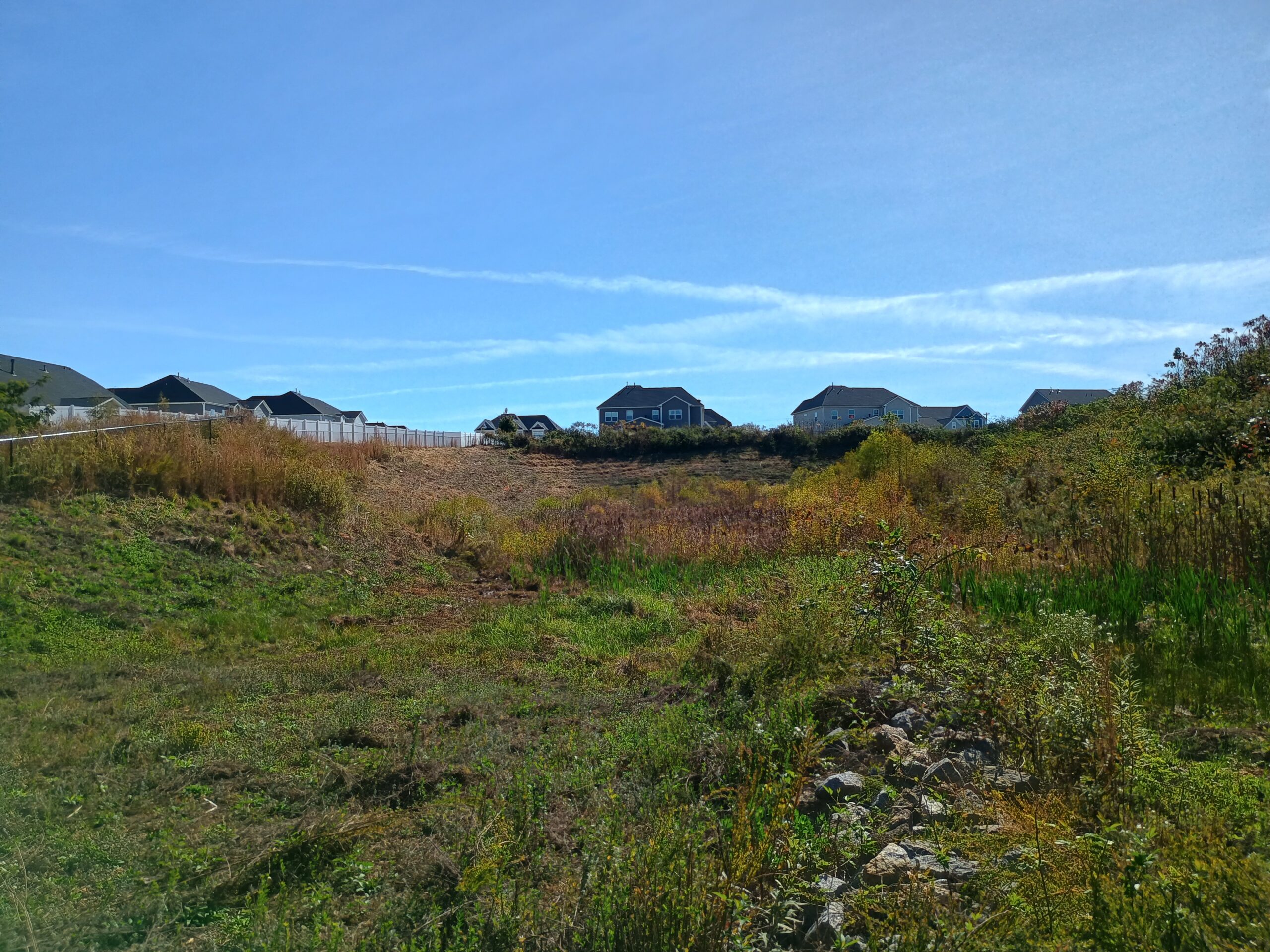 Retention pond in Simpsonville SC with early overgrowth and vegetation buildup near residential homes