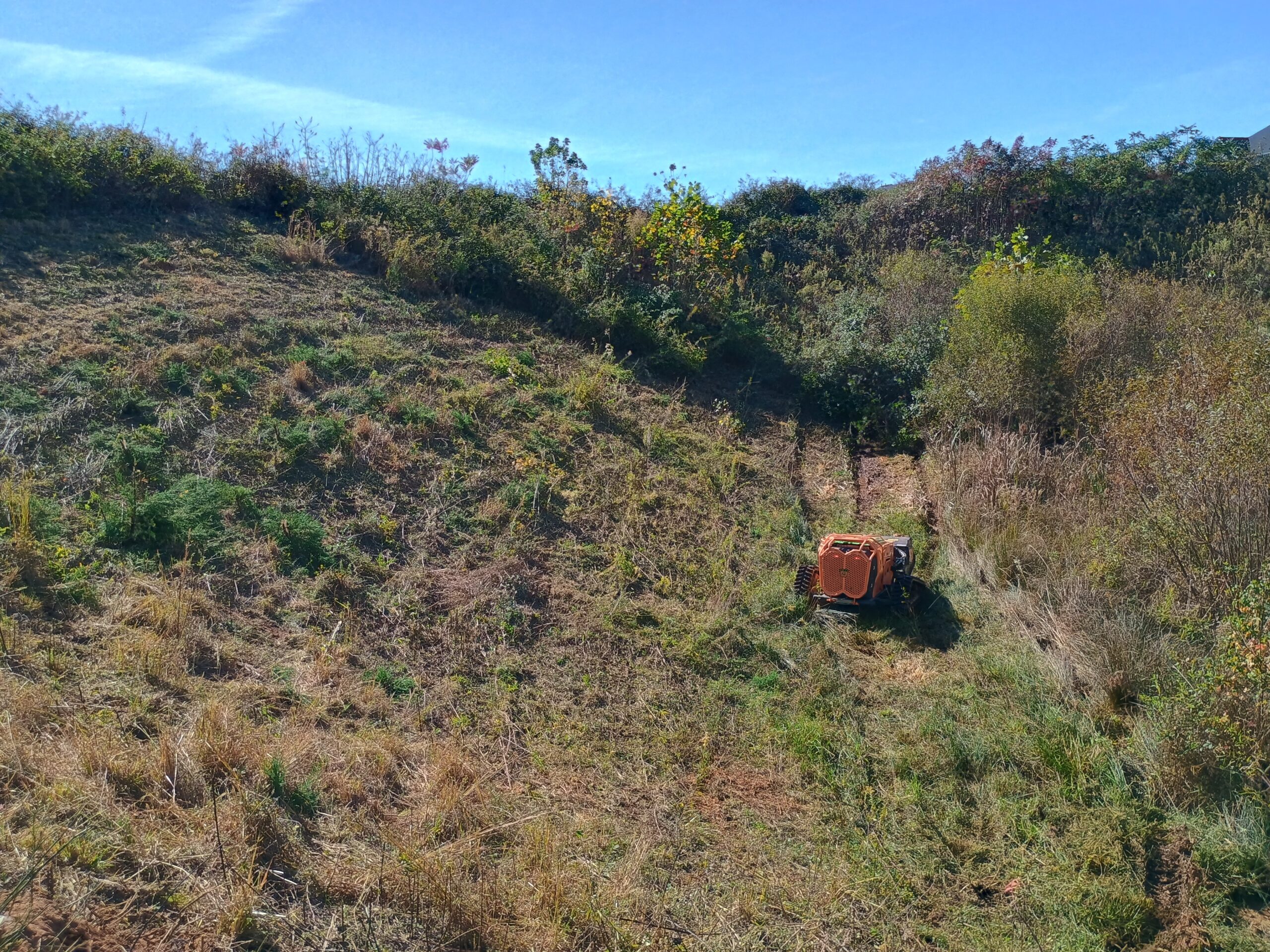 Remote controlled forestry mulcher clearing brush on steep slope in Upstate South Carolina