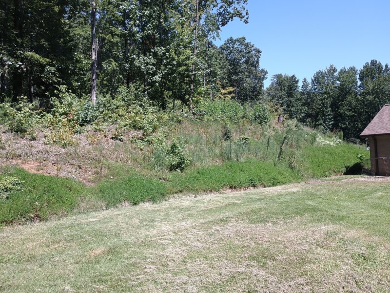 Overgrown residential slope and embankment before mowing in Easley South Carolina