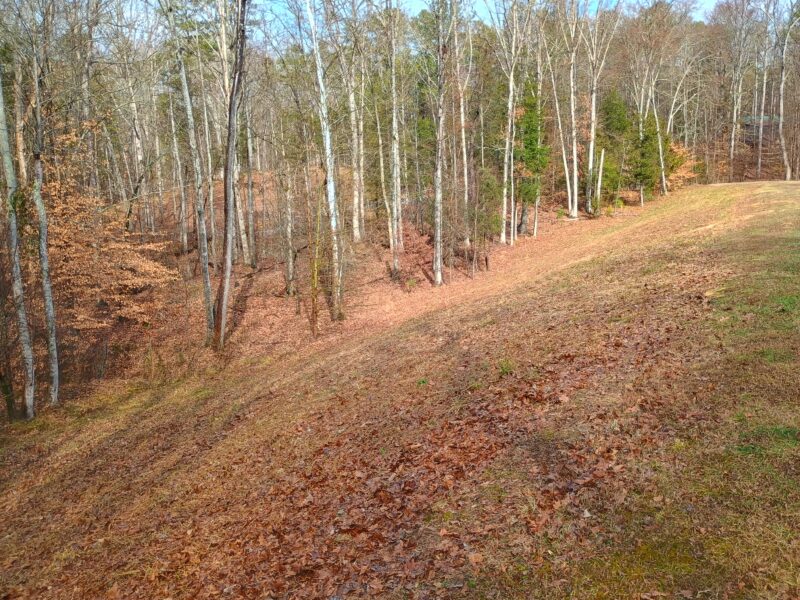 Pond dam after mowing in Sharon South Carolina with cleared slope and improved visibility
