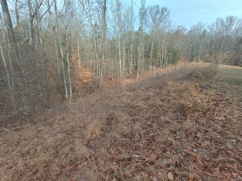 Overgrown pond dam in Sharon South Carolina before mowing with tall vegetation and limited visibility