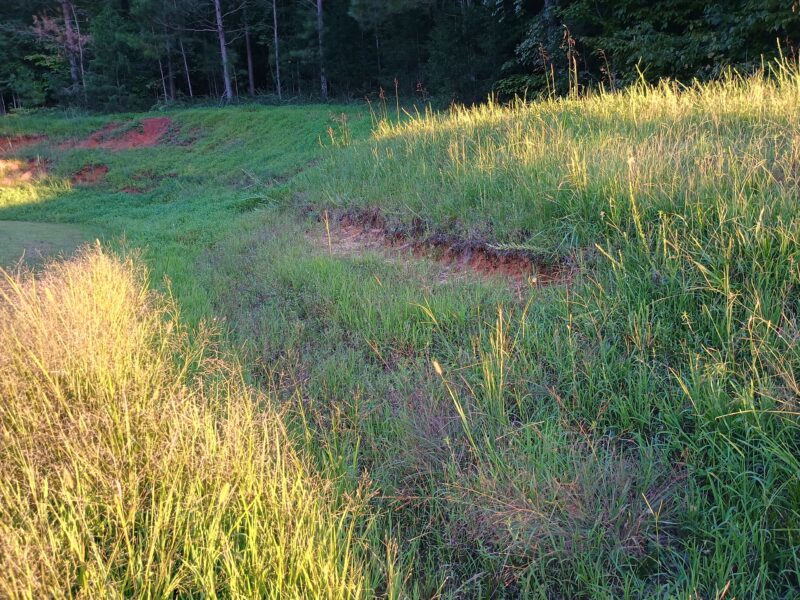 Erosion forming on a steep slope where traditional mowing equipment has lost traction