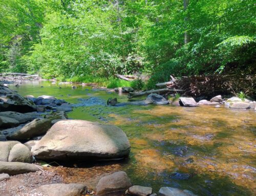 What Is the Purpose of a Retention Pond?